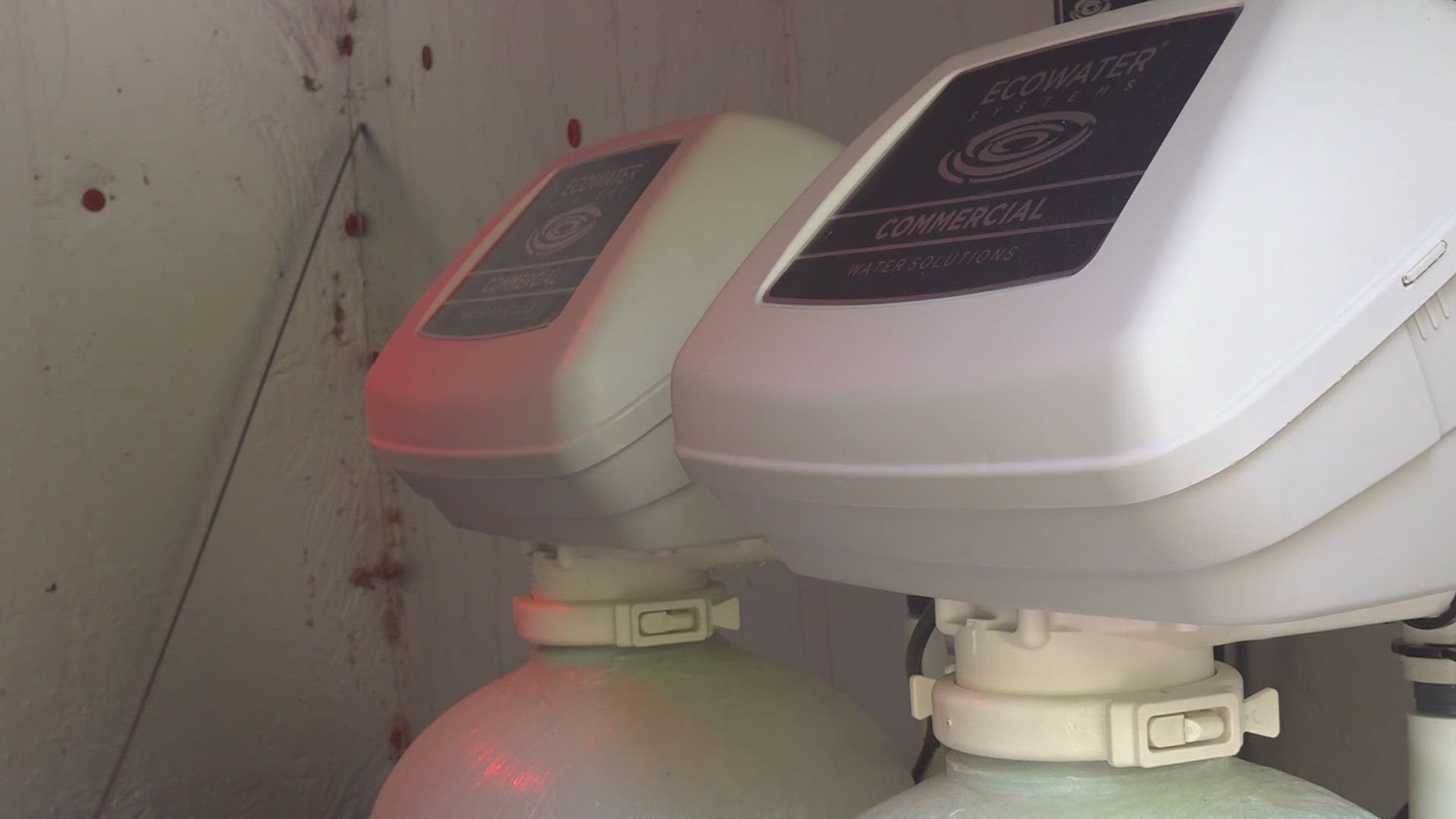 A new water treatment system donated by Eco Water is giving the nonprofit a chance to restart its rehab work with wild bears.