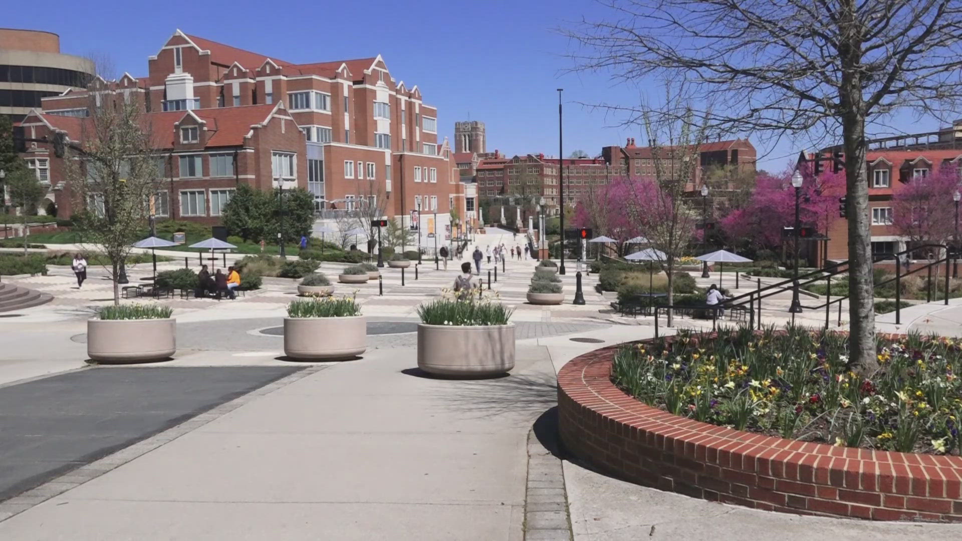 UT trustees freeze tuition, discuss federal funding cuts, campus growth, a record $500M fundraising year and long-term goals through 2030.