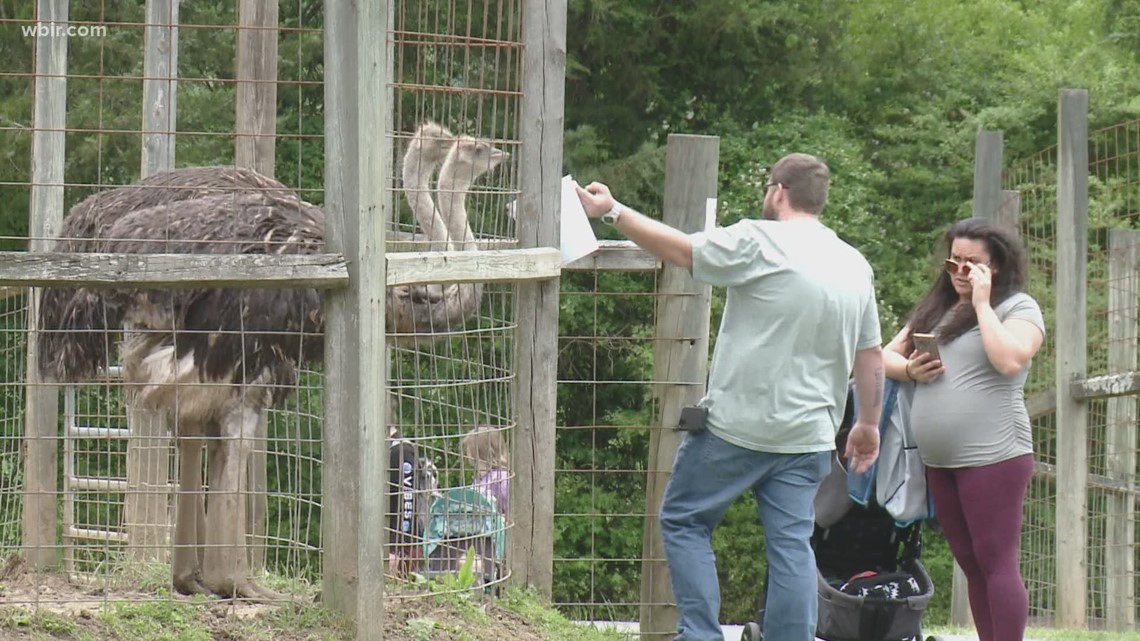 Little Ponderosa Zoo celebrates generosity of East TN during Community