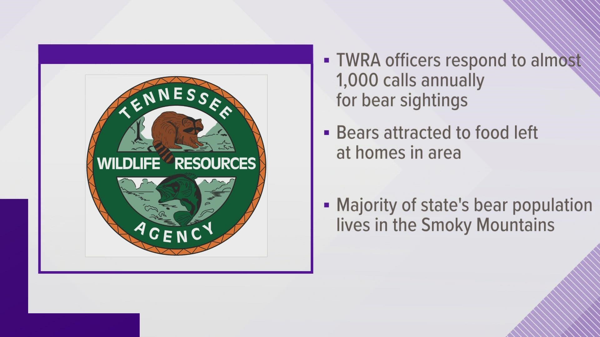 TWRA wildlife officers in the region respond to 500-1,000 annual calls in regard to black bears, many of which are nuisance calls in Sevier County.
