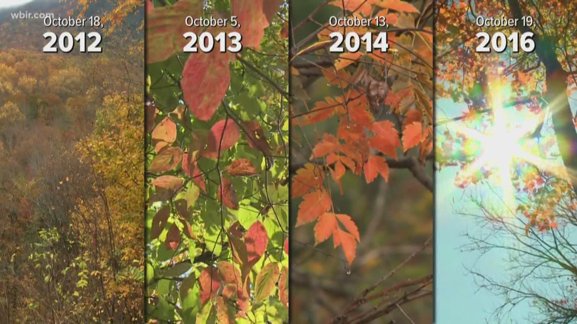Oct. 15, 2018: Rarely has fall foliage been remained so green in mid-October as 2018. We dig into the archives to compare the colors we normally see this time of year.