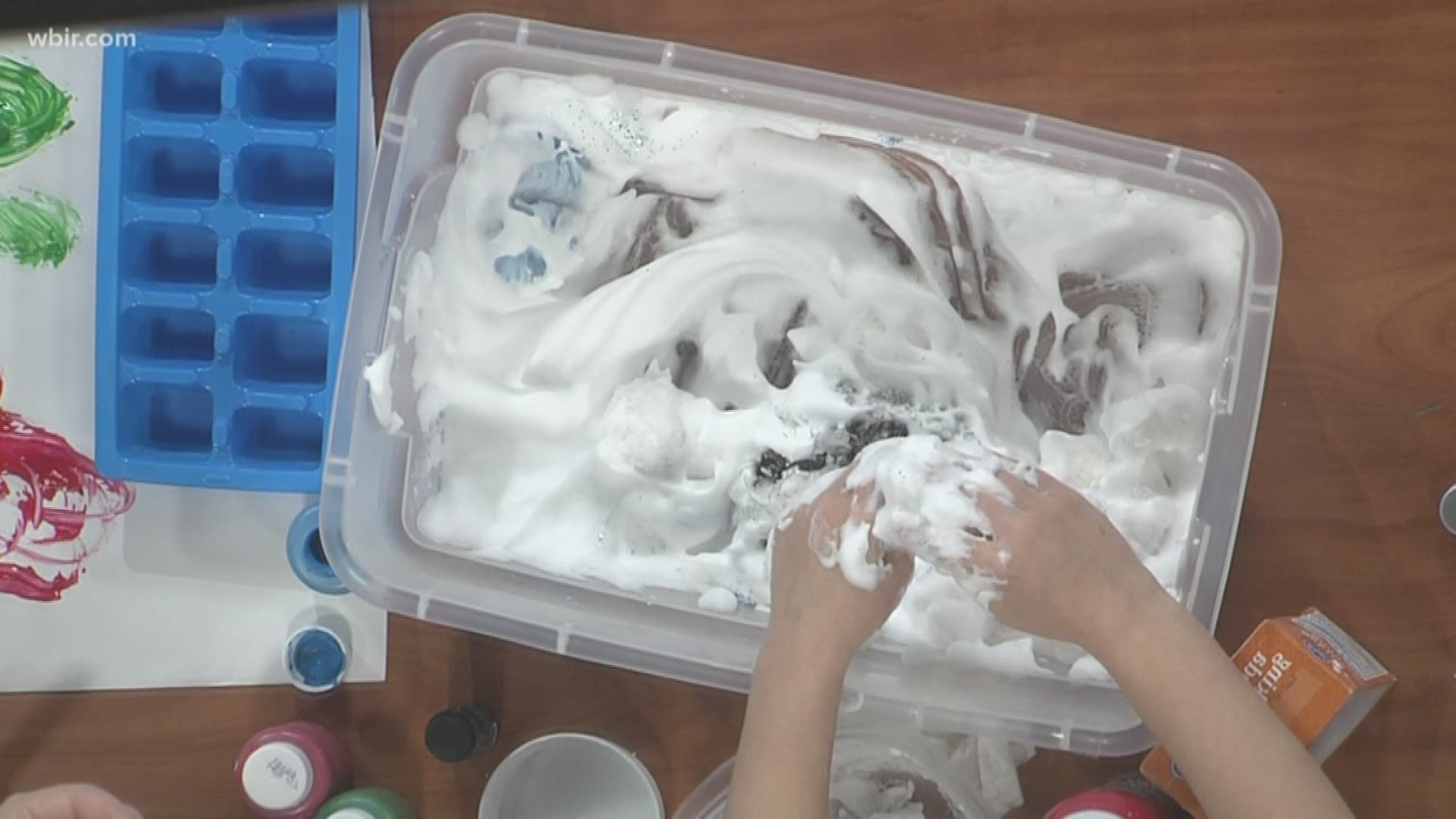 Chelsea Smith with Helen Ross McNabb Center shares some snow day activities including painting with ice and making your own snow. Jan 15, 2019-4pm