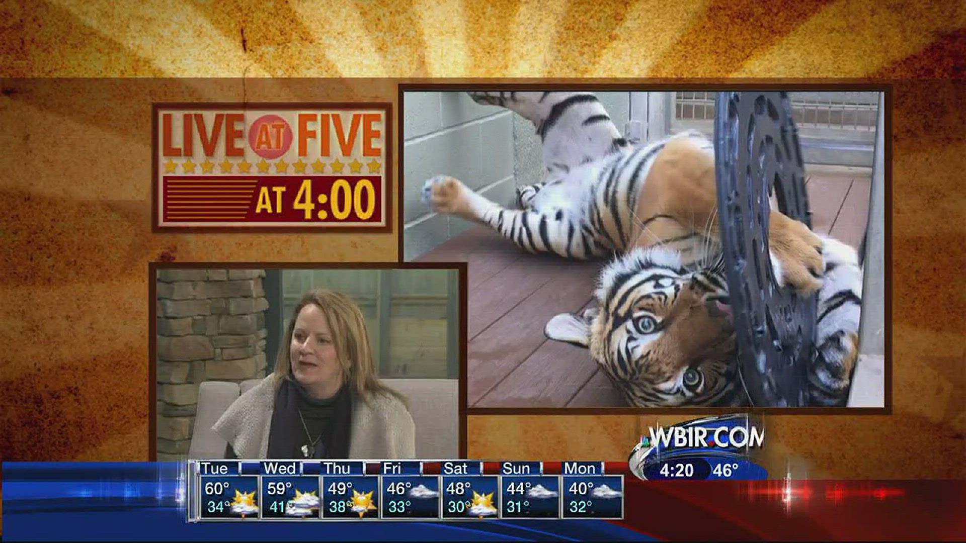 Live at Five at 4January 30, 2017The spring of 2017 will bring an exciting new attraction at Zoo Knoxville: Tiger Forest. For more information visit zooknoxville.org