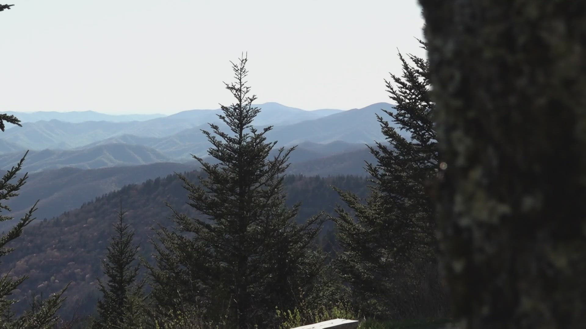 In an eight to two vote, the commission approved a resolution in supporting the effort to restore the name of Clingman's Dome in the Smokies.