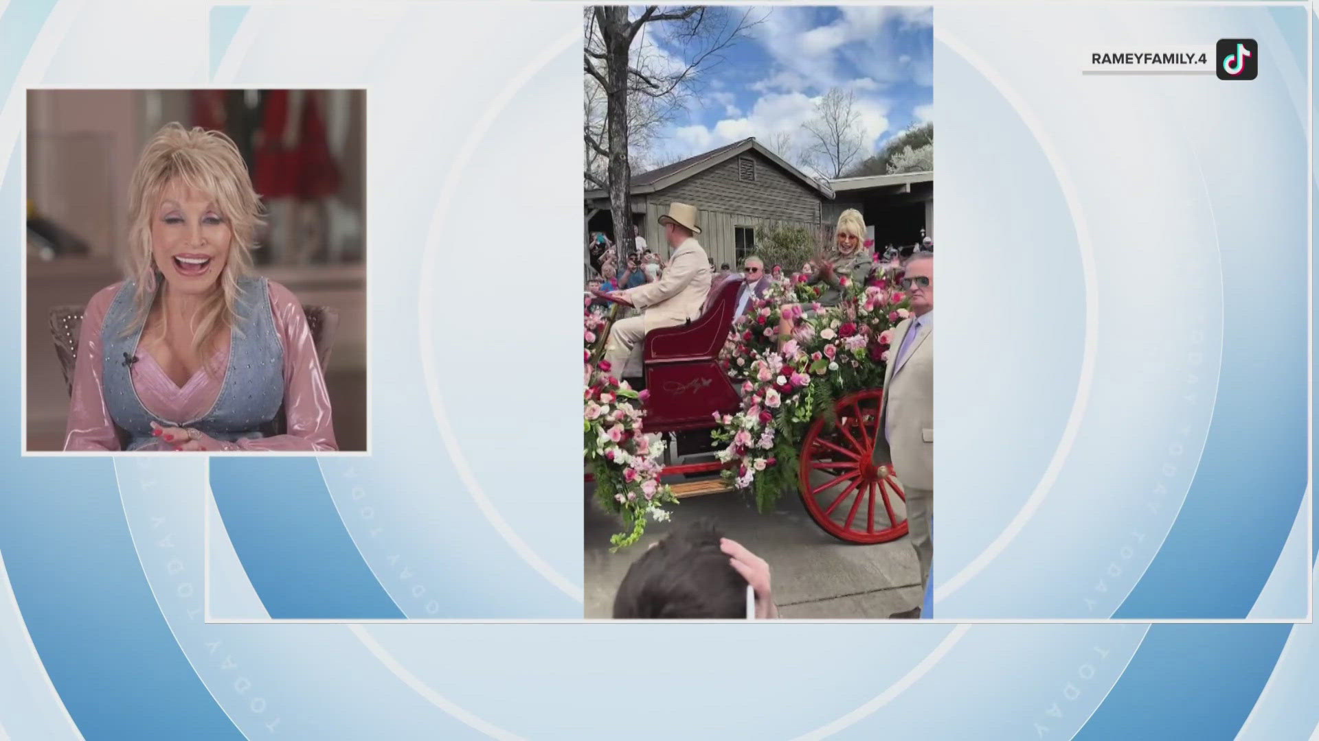 Hundreds of people lined up for the chance to see Dolly at Dollywood, including a boy who went viral for his reaction to seeing her.