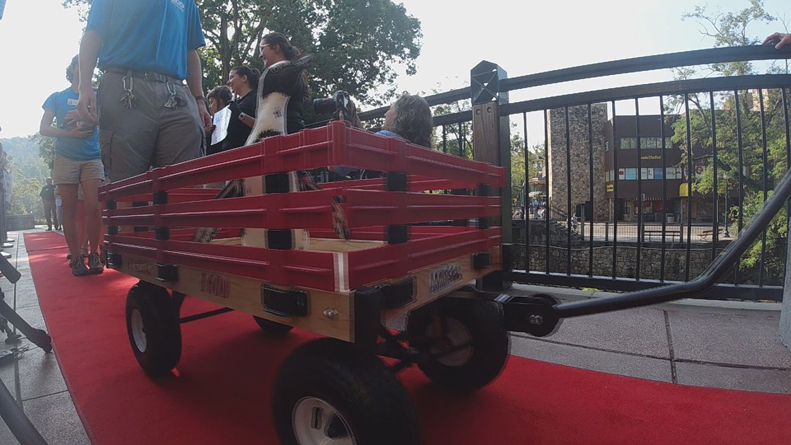 Zoo Knoxville Penguins arrive at their new home in Gatlinburg