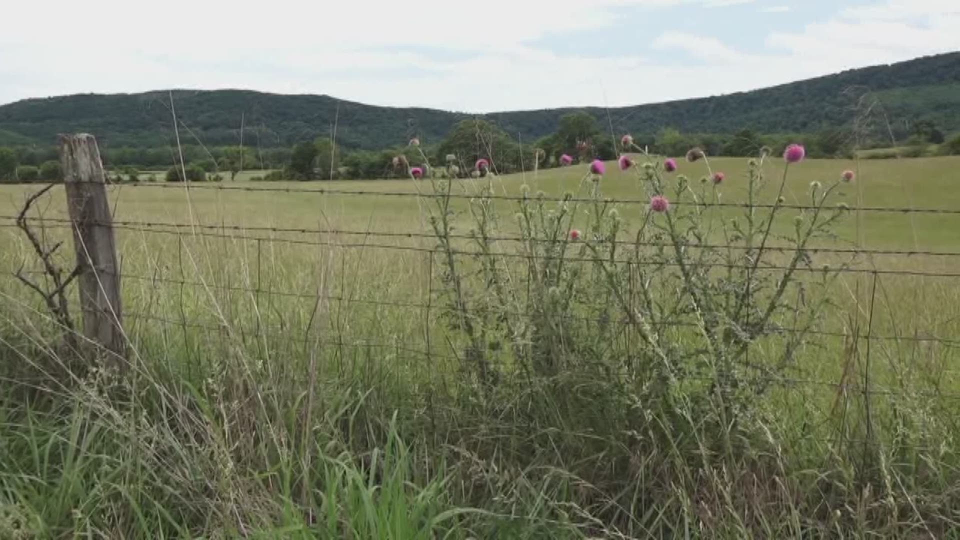 The state and non-profit groups celebrated the acquisition of more than 950 scenic acres in Cumberland County in the Grassy Cove area beside the ambitious Cumberland Trail project.