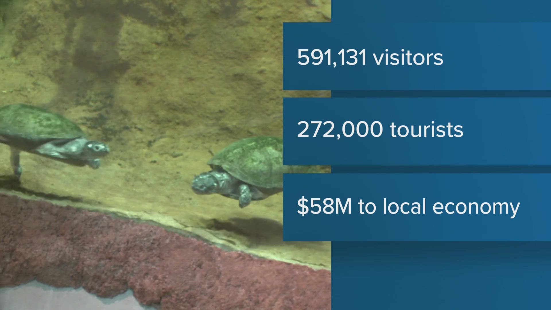 Zoo Knoxville sets new attendance record, surpassing 2021 record | wbir.com