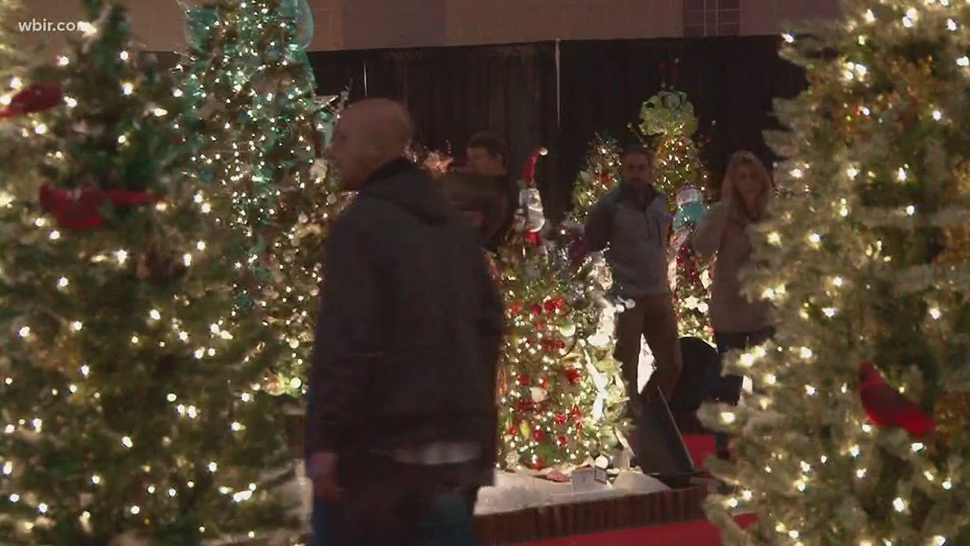 Nov. 23, 2017: After the turkey dinner, many people in Knoxville went to Fantasy of Trees to walk off some of that meal and get in the holiday spirit.