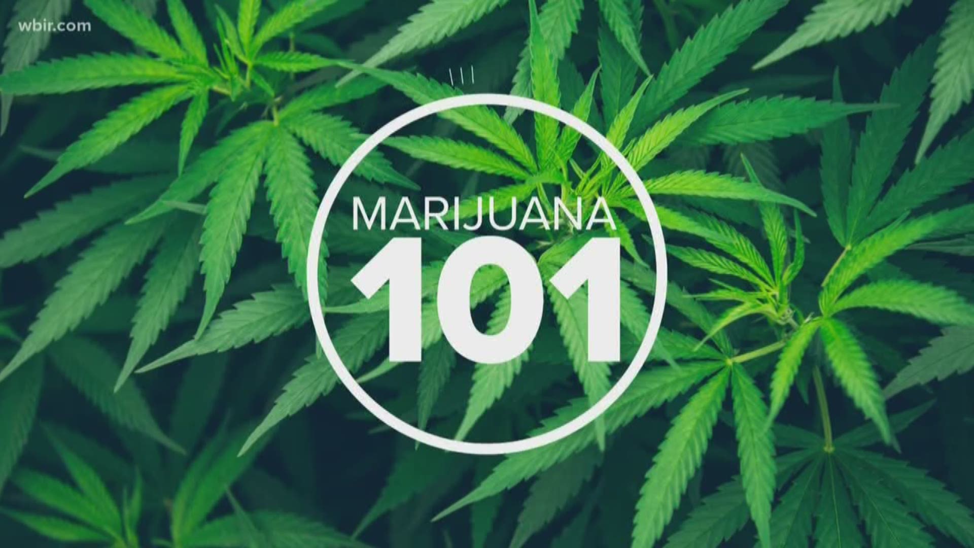 How Can You Buy Cannabis Legally?