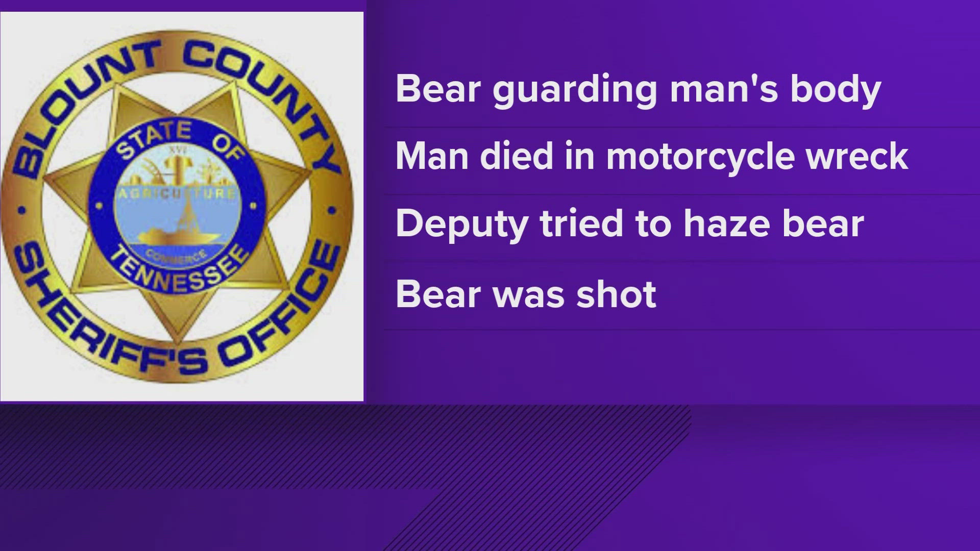 The TWRA said the crash happened on Friday. Before firing shots, the agency said the deputy tried to haze the bear. It became defensive and approached the deputy.