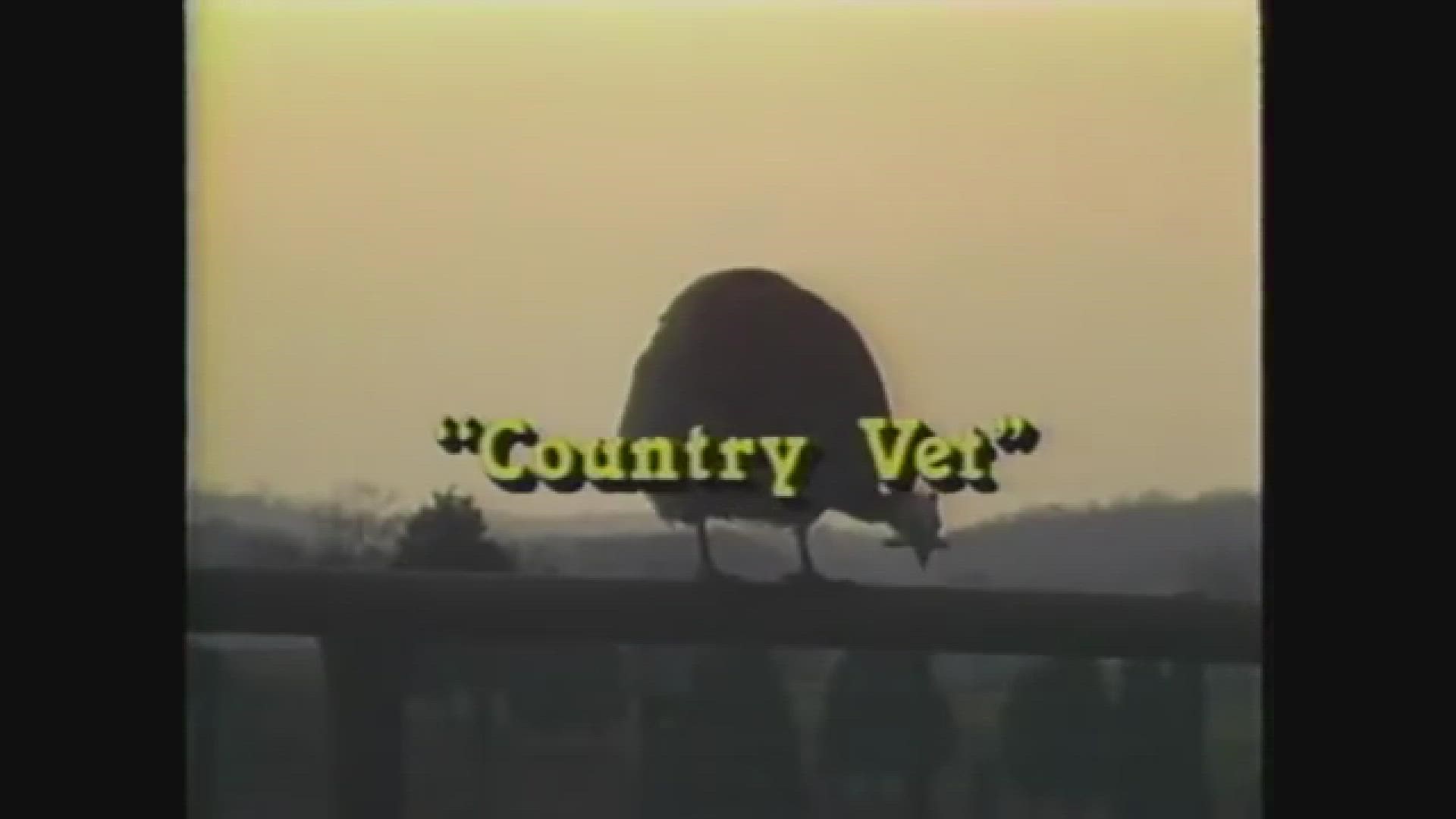 WBIR Channel 10's 'The Heartland Series' hosted by Bill Landry aired from 1984 to 2009. We hope you enjoy these captivating windows into East Tennessee history.