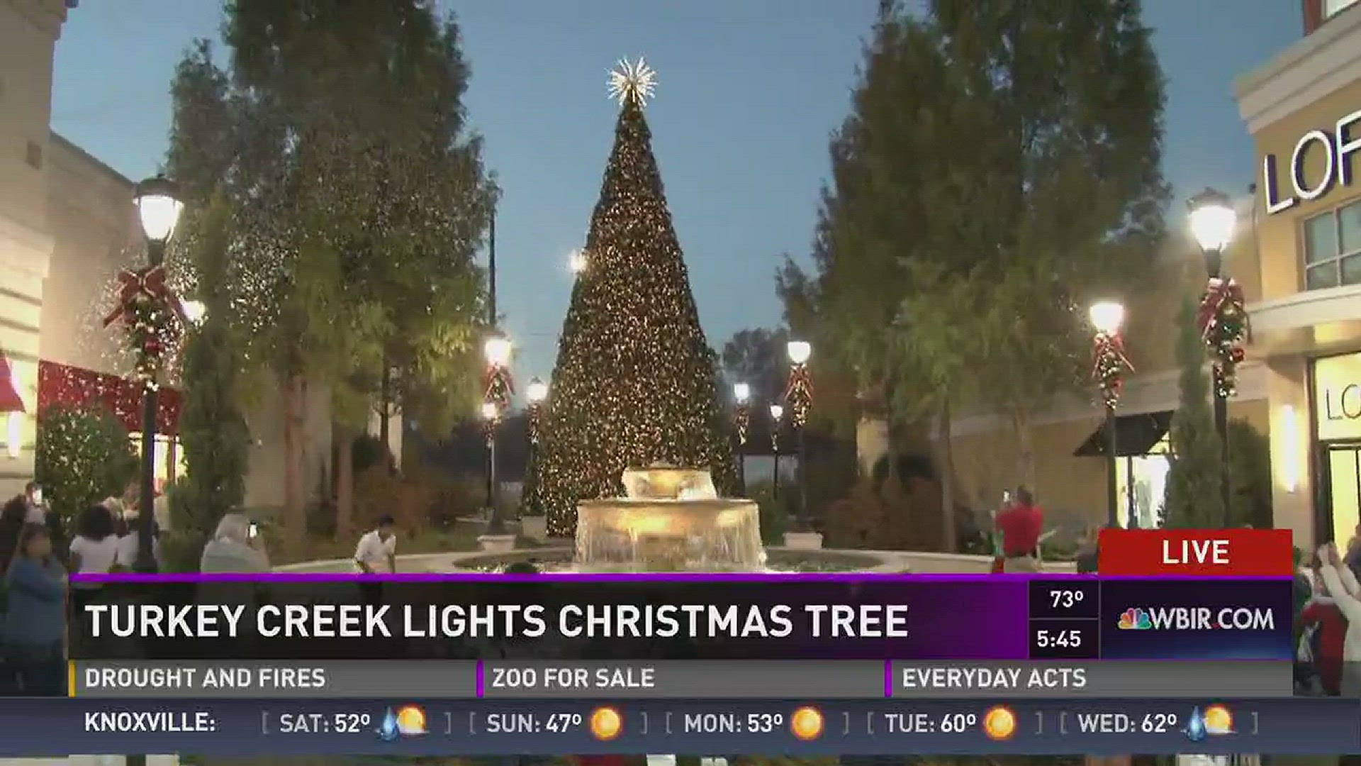 Nov. 18, 2016: Turkey Creek Christmas tree lighting to kick off the Mission of Hope blue barrel campaign.