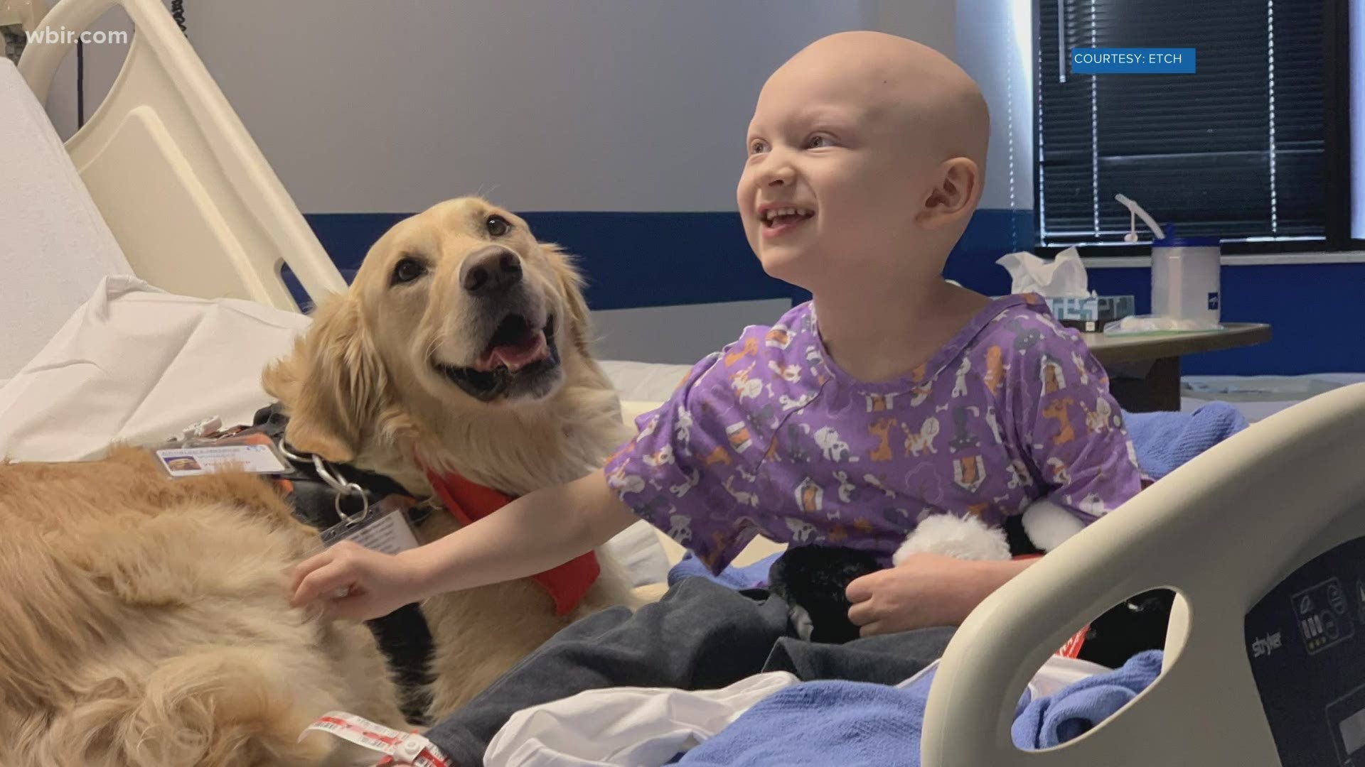 Some very special guest came back to East Tennessee Children's Hospital this week for the first time since the pandemic started to make patients smile!