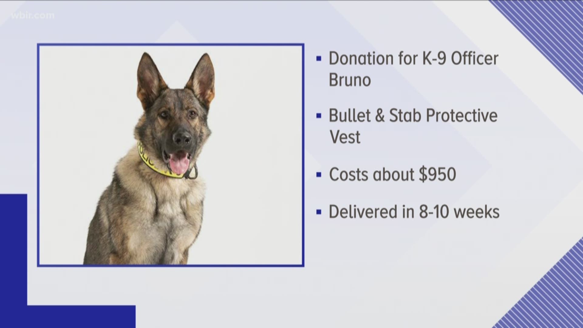 K9 Bruno Receives Vest Donation, News