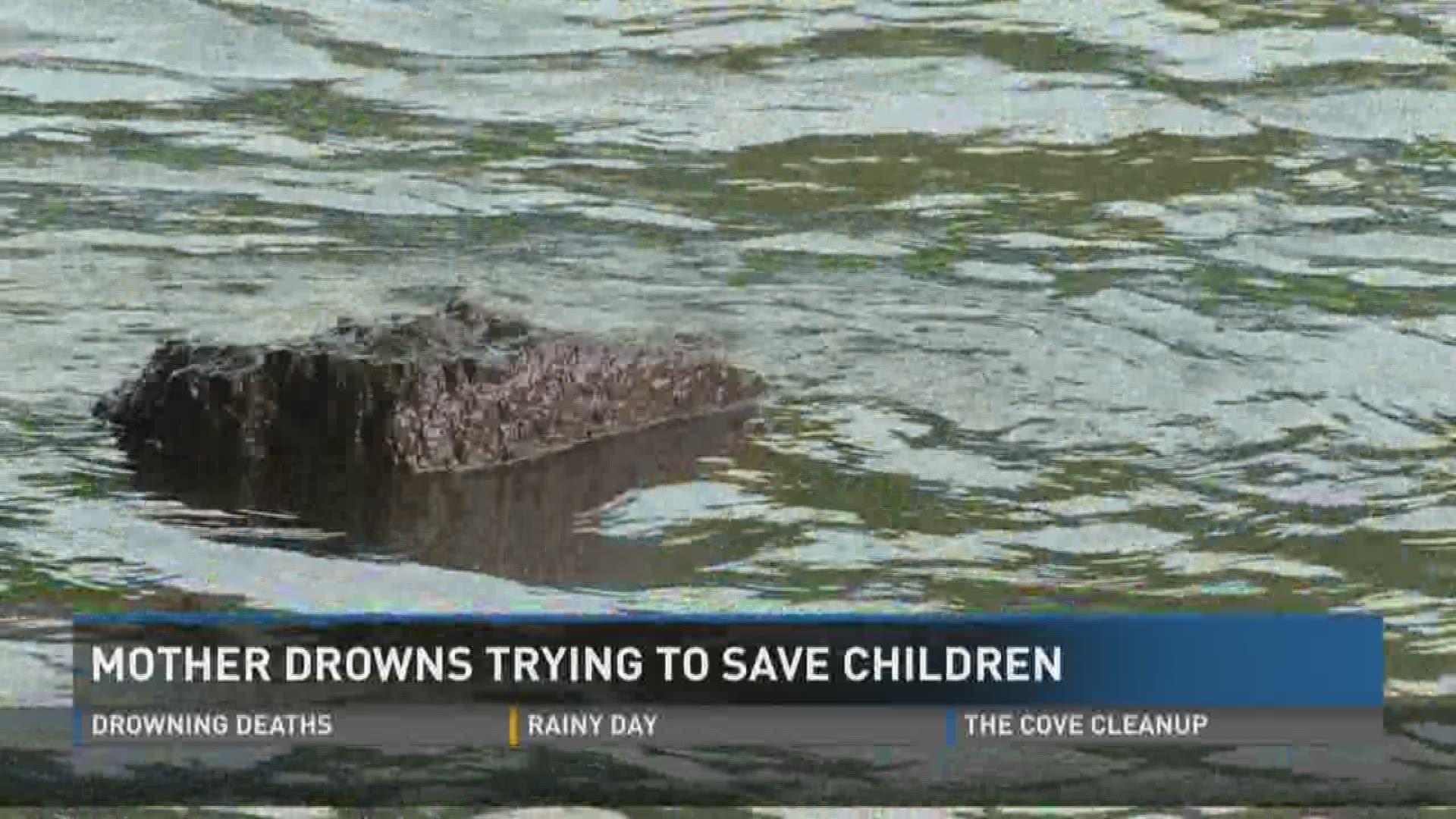 Mother drowns after trying to save family on raft | wbir.com