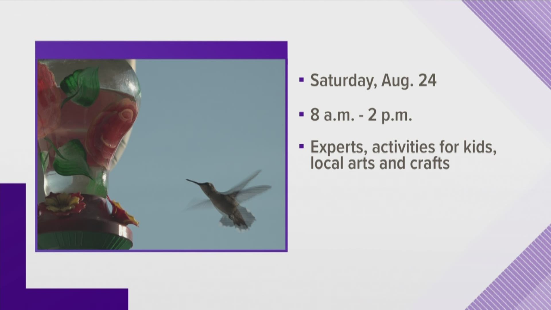Ijams Nature Center is celebrating hummingbirds at a festival on August 24