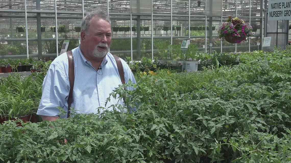 Neal Denton's advice for planting summer vegetables
