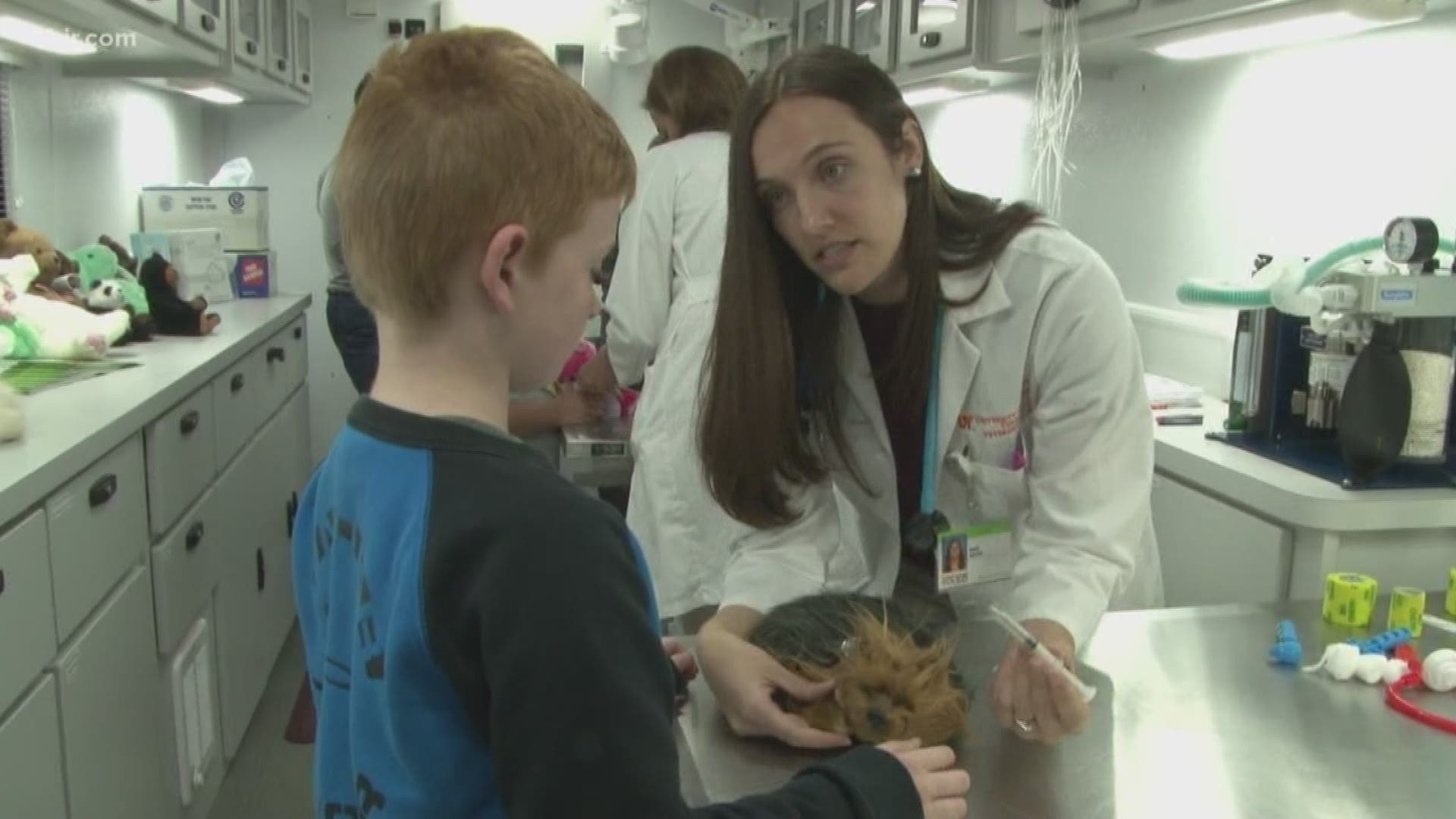 UT College of Veterinary Medicine to host 40th annual Open House