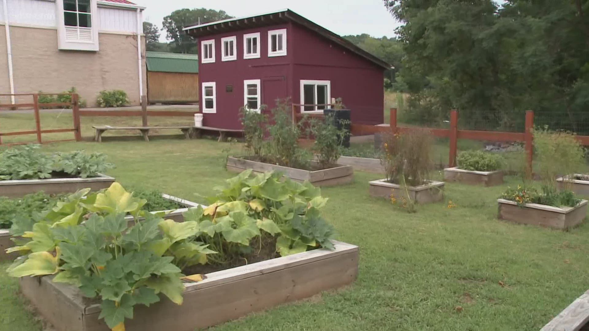 The school garden is ready for students to explore when classes resume August 17