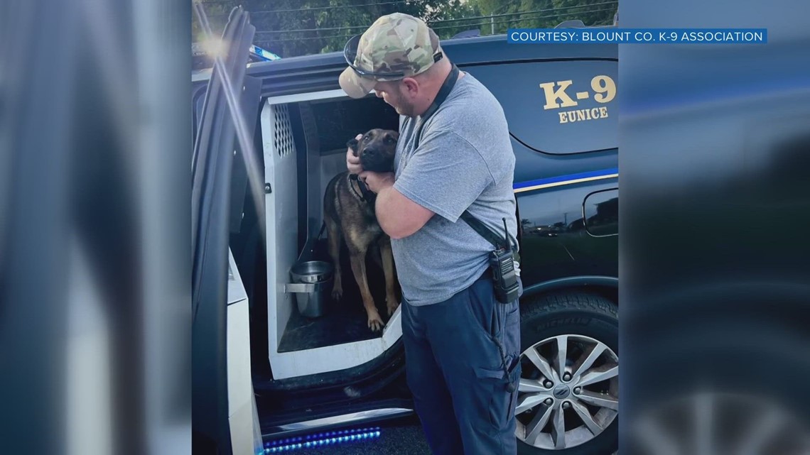 Maryville Police Department: Missing K-9 found, being treated for non ...