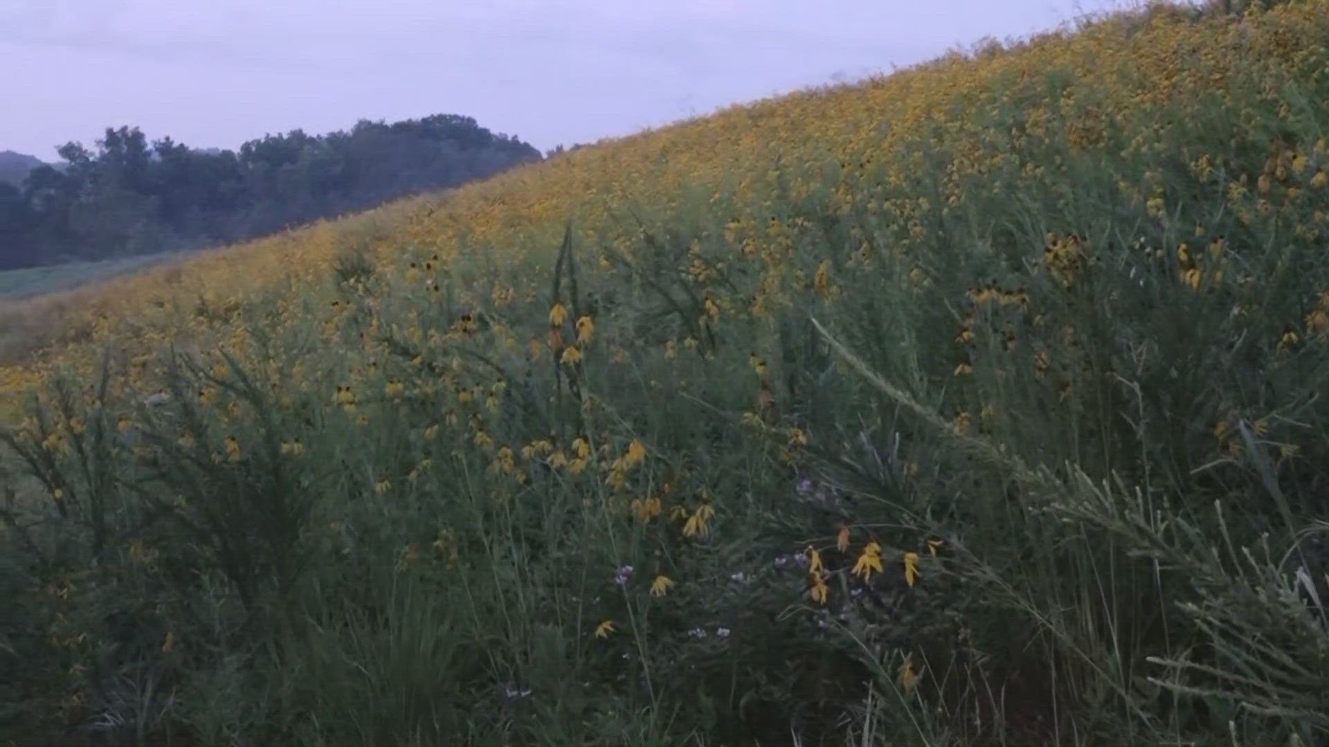 Aspire spans more than 300 acres and crews have a lot to maintain including the hiking and biking trails.