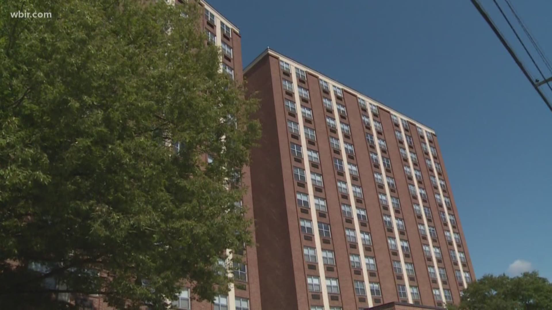 UT students living in laurel hall have started to move off campus after crews found mold in the dorm.