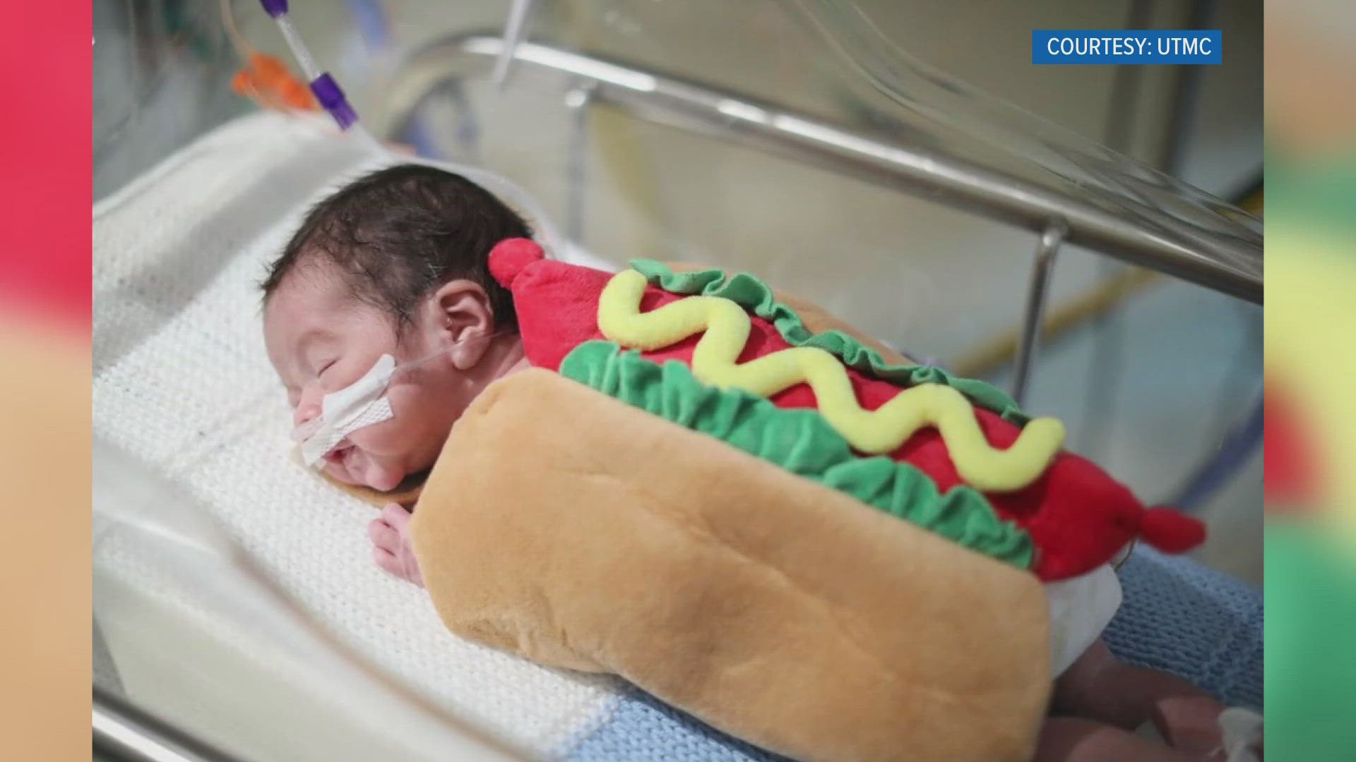 UT Medical Center NICU babies donned adorable costumes for Halloween this year. 