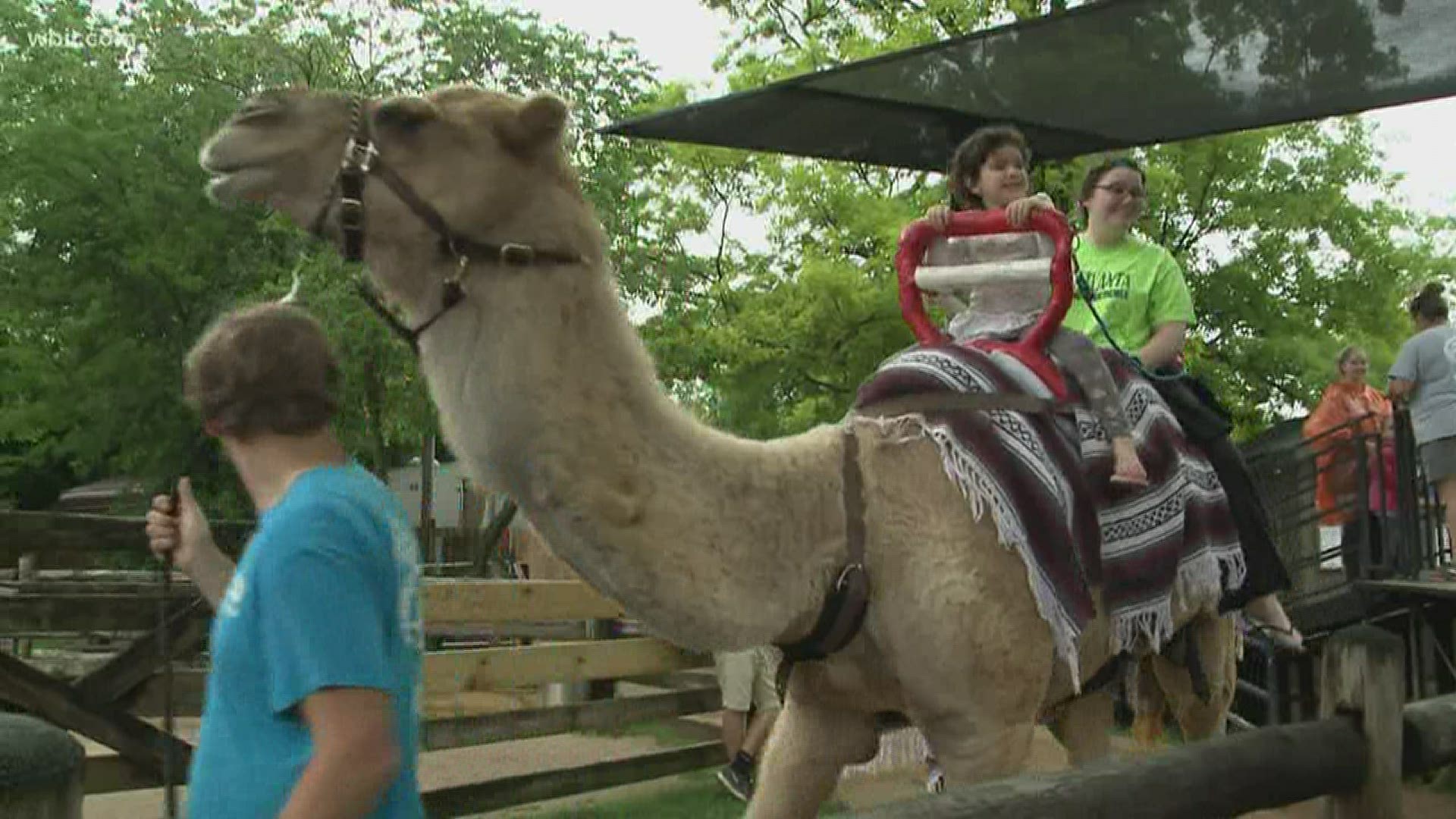 The zoo will require visitors to purchase tickets ahead of time.