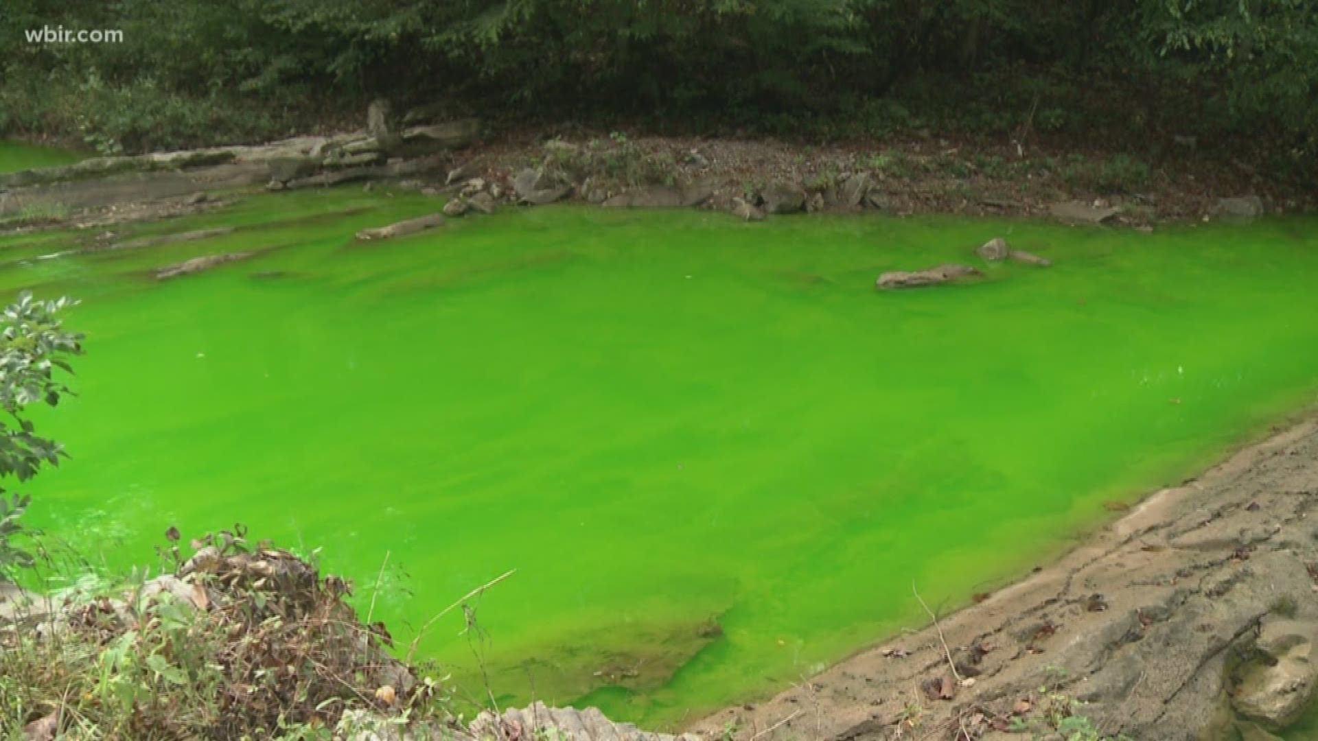 It's no Photoshop or optical illusion -- this creek really is just that green.