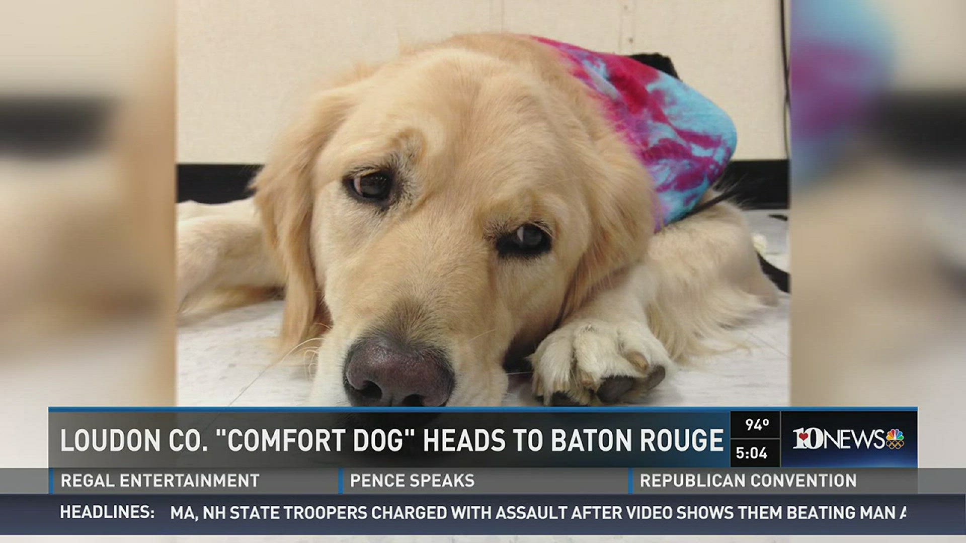 A comfort dog from East Tennessee is on her way to Baton Rouge to help comfort victims of the deadly shootings that have take place there over the past few weeks.