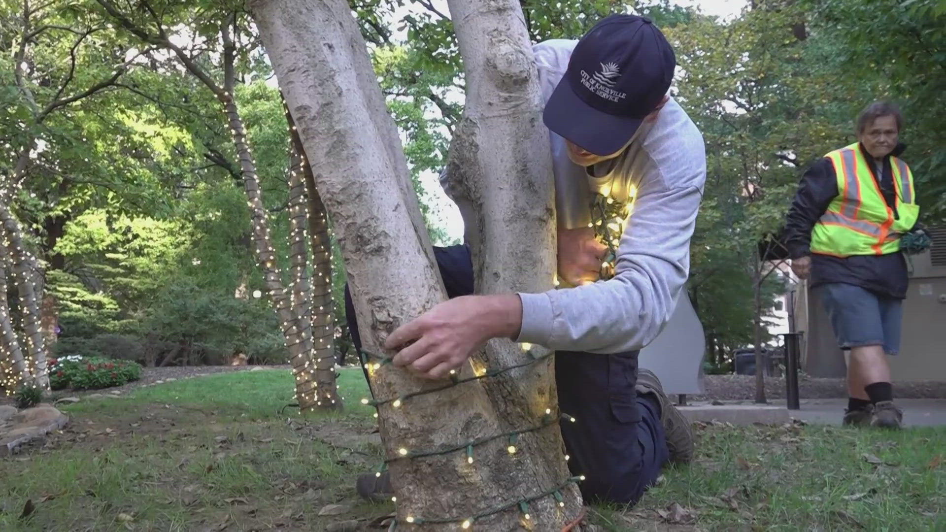 Workers have started to wrap the trees in Christmas lights. The city uses more than 200,000 lights to decorate all of downtown.