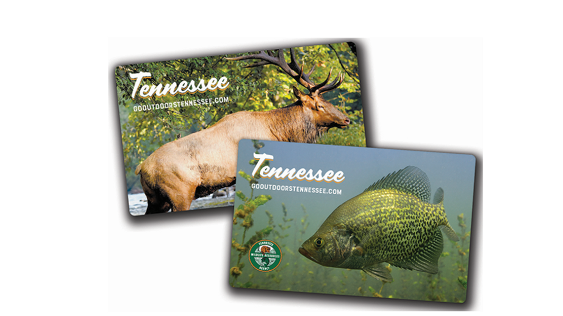Hunting, fishing licenses in Tennessee expiring on Sunday, new