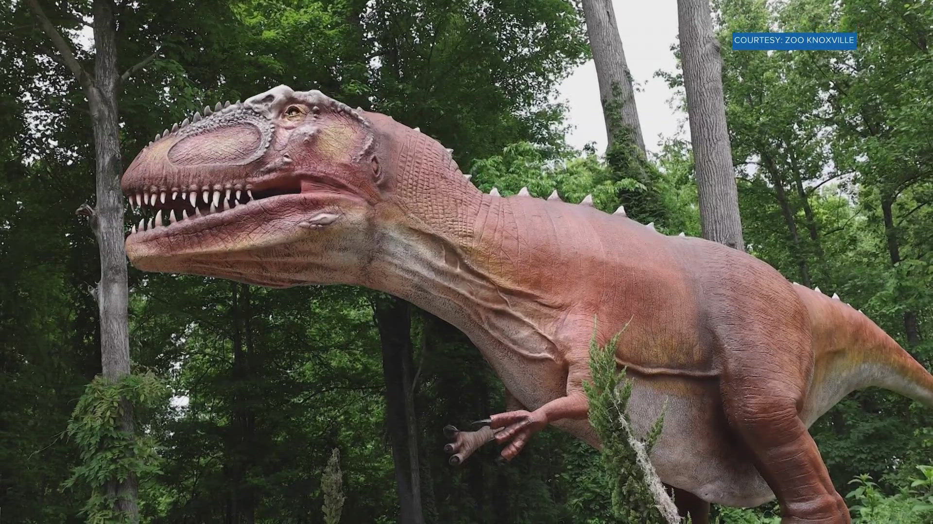 "Transporting guests back in time to eras long past, Planet Predator features an array of animatronic predators from the ancient world," the zoo said.
