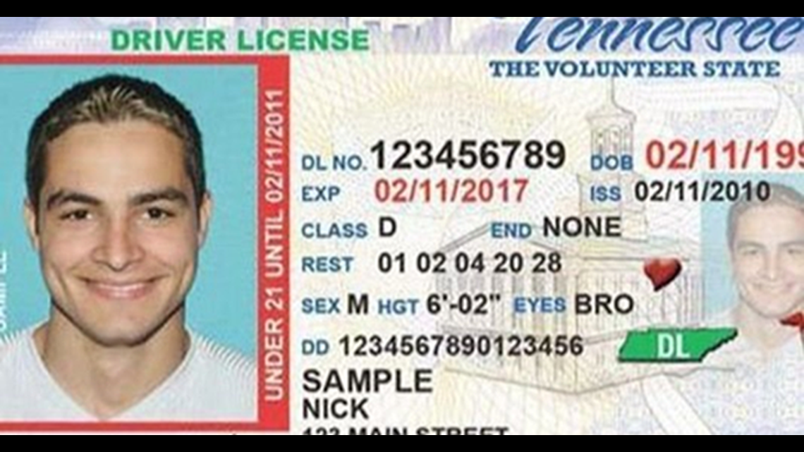 tennessee state driver license duplicate online