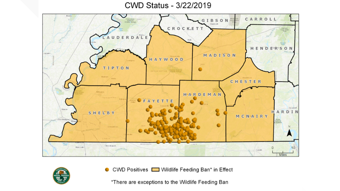 Tennessee wildlife officials working to prevent CWD's spread as deer