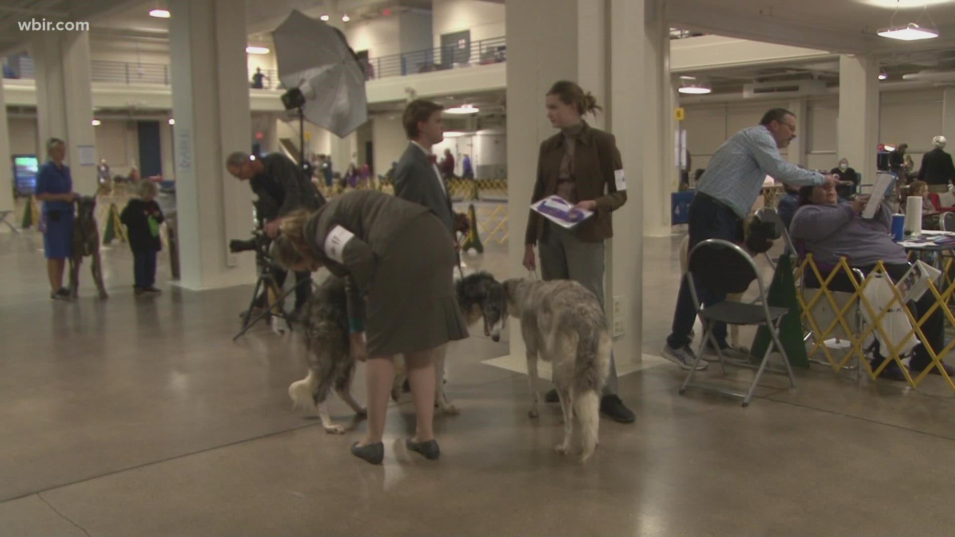 A Doggone good time Tennessee Valley Kennel Club hosts dog show over