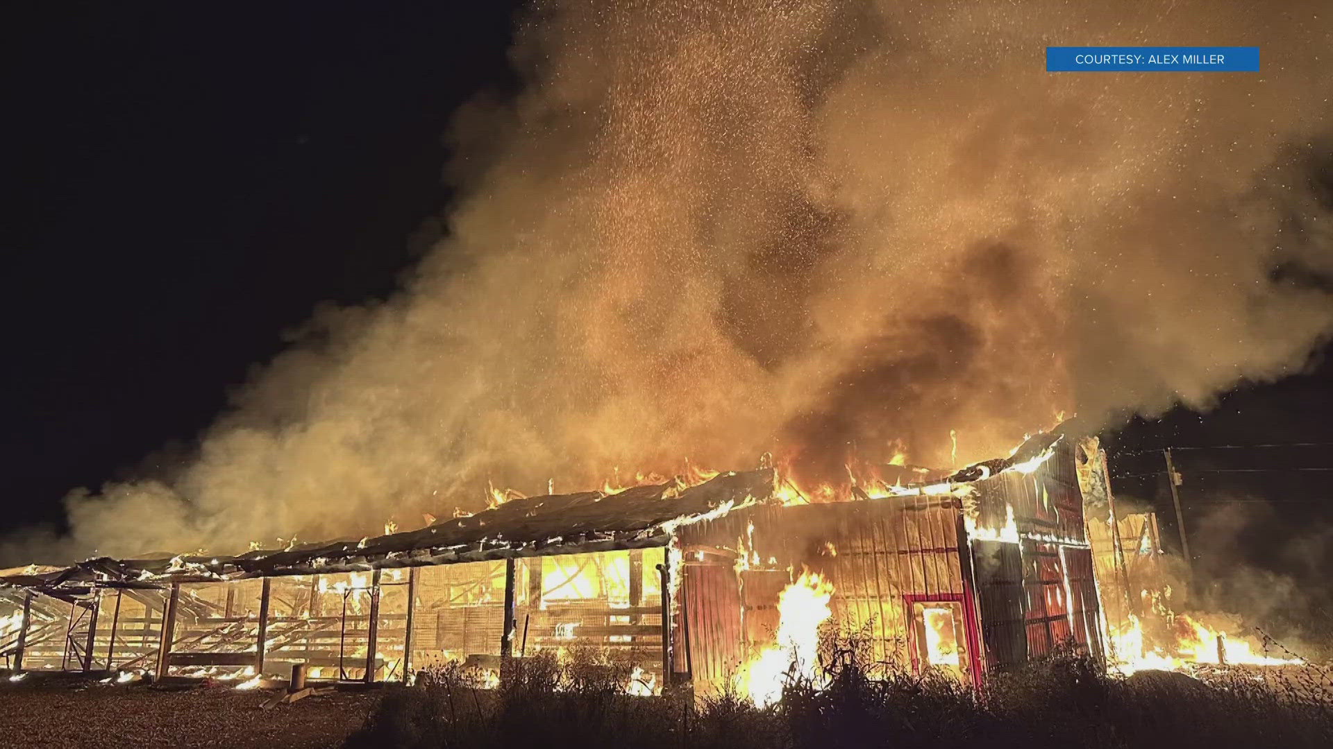 Lick Skillet Farm lost 120 chickens, two boars and much of its equipment in a fire early Monday morning. In less than 24 hours, the community raised $25,000.