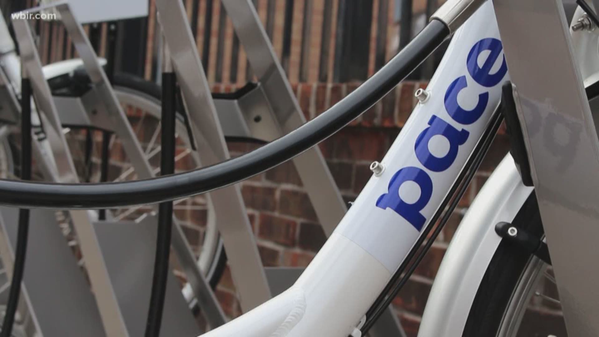 The Pace bike share app has been downloaded more than 1,600 times in Knoxville.