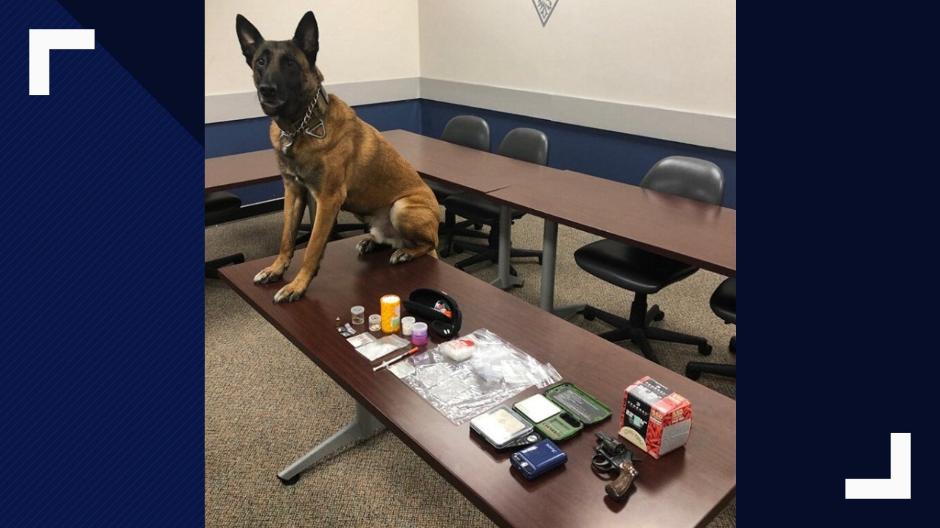 Jefferson Co. K9 sniffs out a variety of drugs during traffic stop ...