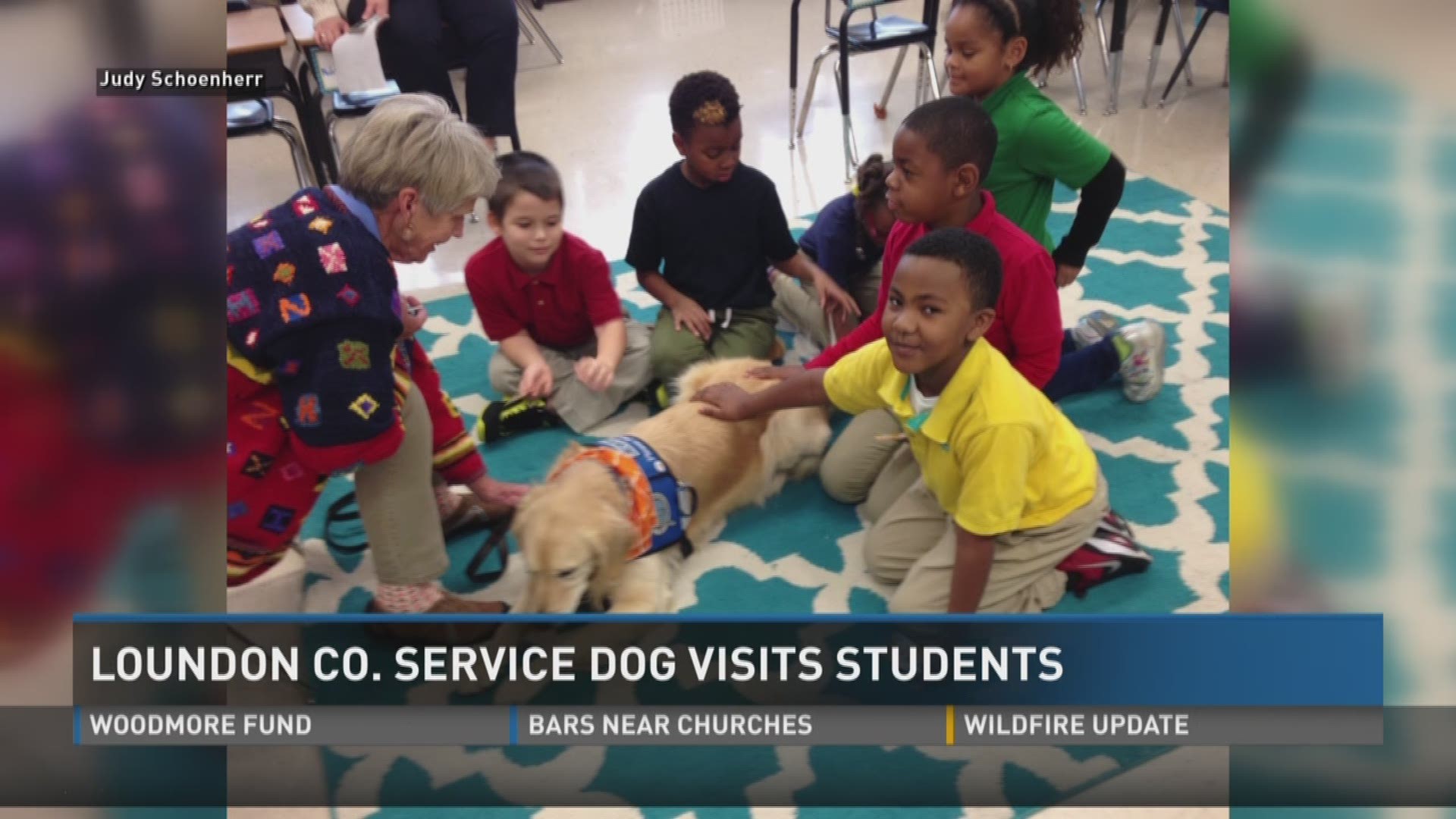 Nov. 22, 2016: A Loudon County service dog spent its day with children at Woodmore Elementary.