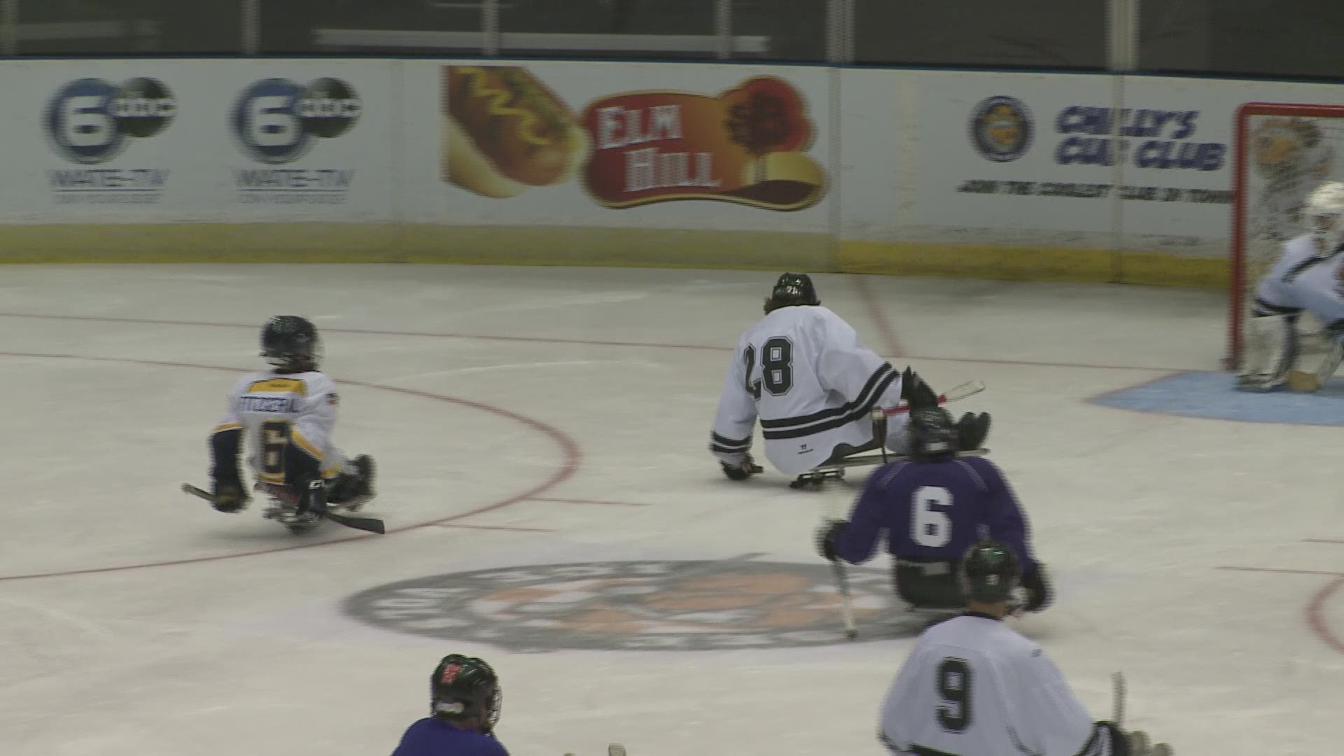 The Ice Bears played the Sled Bears in a sled hockey exhibition game. The Sled Bears won 9-2.