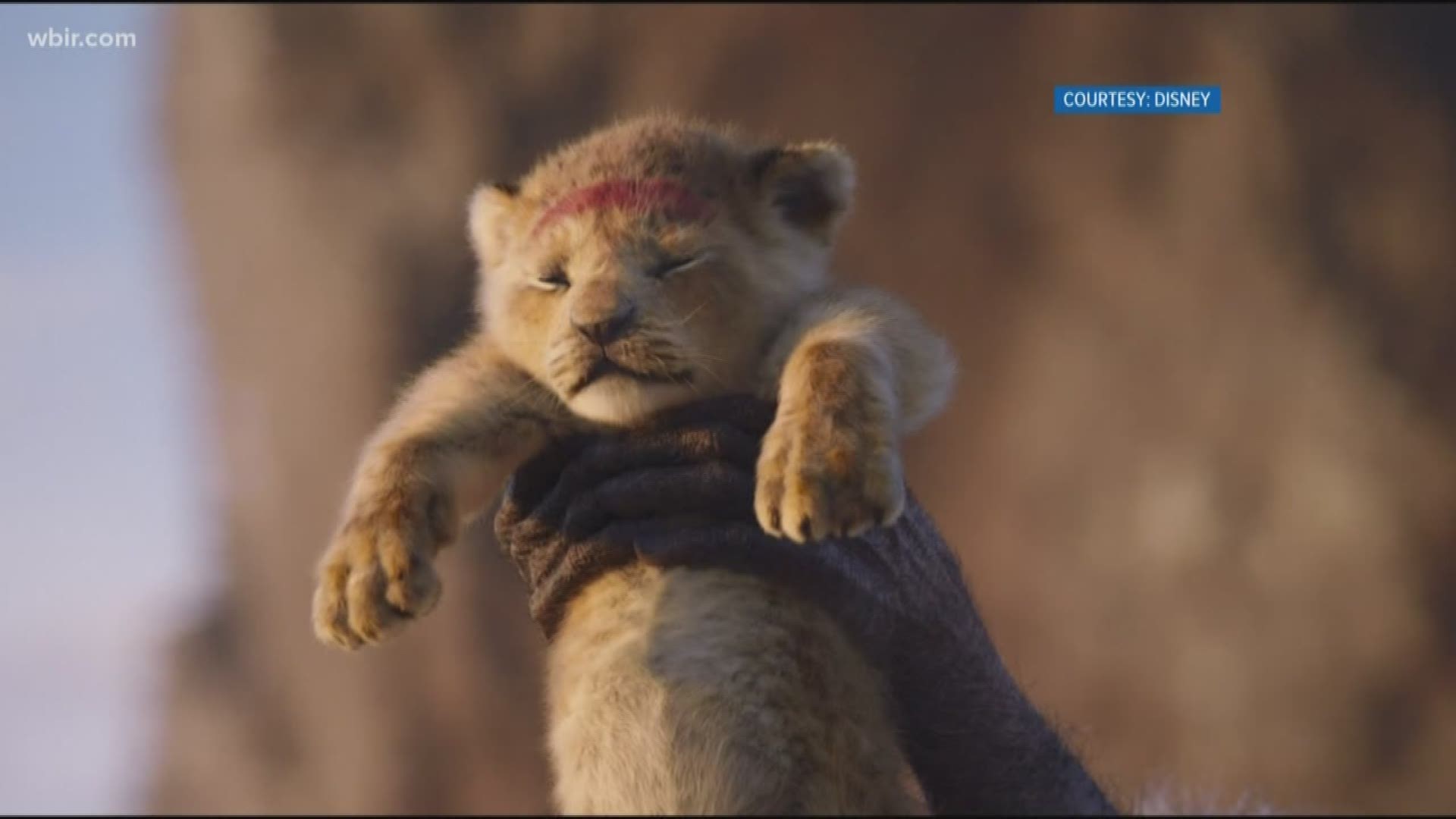 The circle of life starts again with the new live action Lion King hitting theaters this weekend. The film is projected to make at least $175 million in its opening weekend in the United States alone.