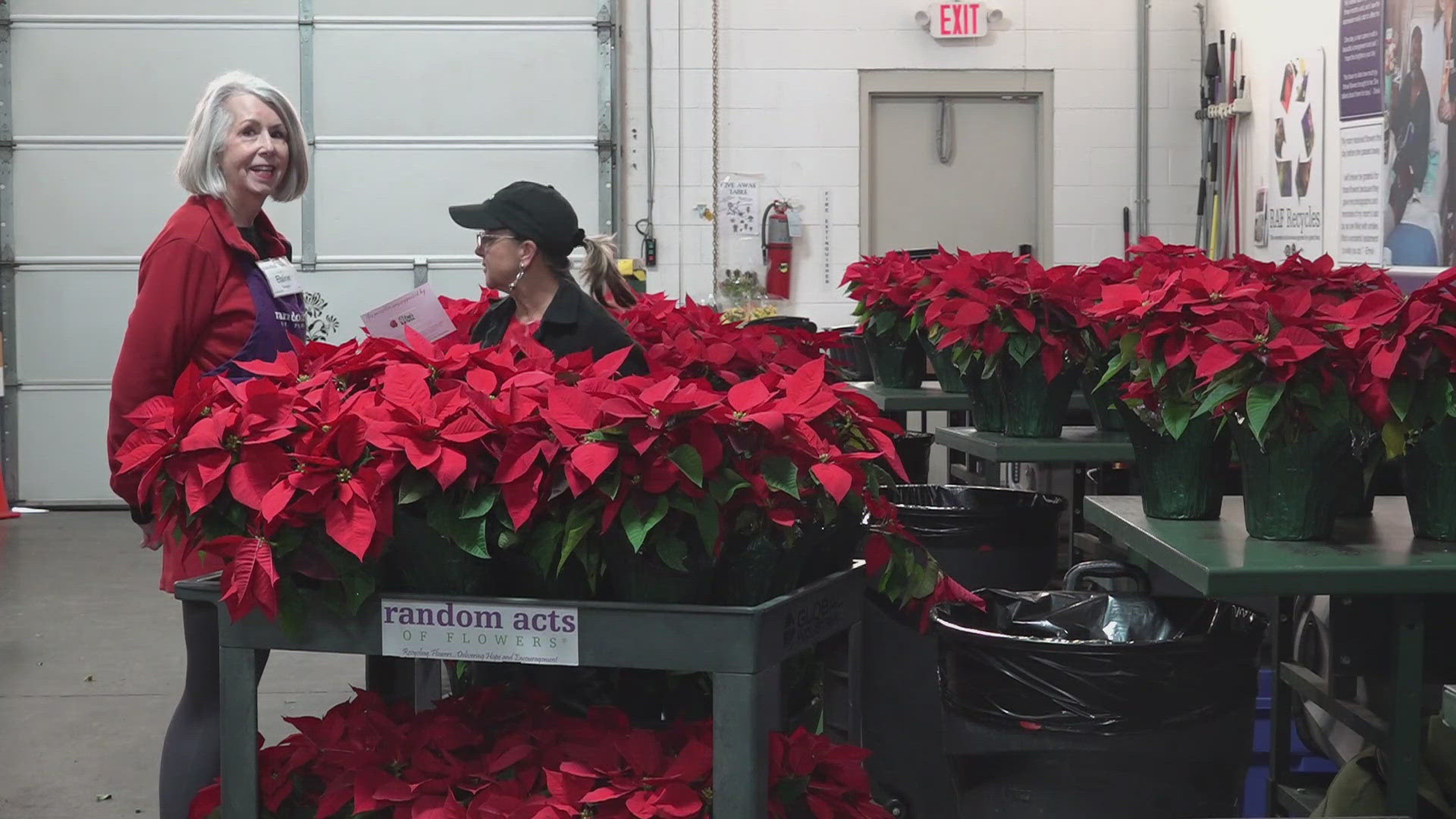 Volunteers deliver poinsettias to bring holiday cheer to Knoxville ...