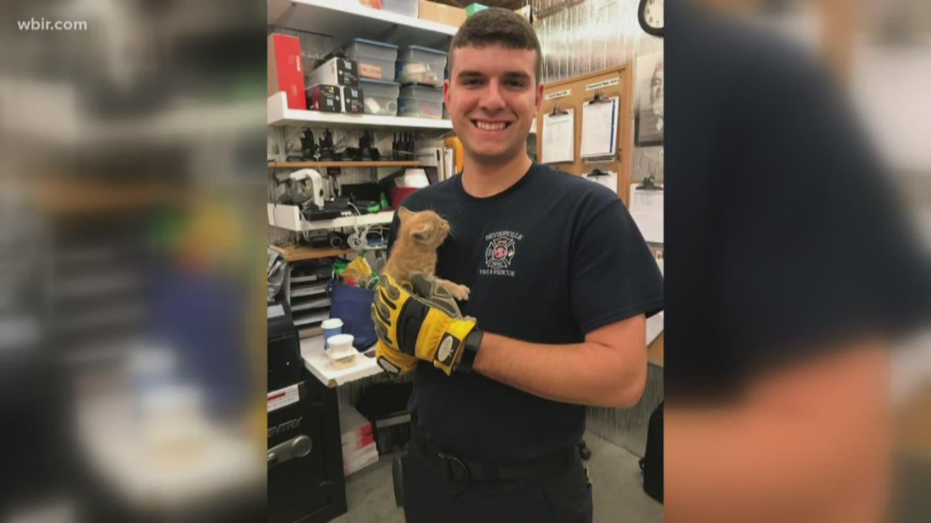 The Sevierville Fire Department saved a cat from a drain in Tanger Outlet Mall Sunday night, with help from bystanders