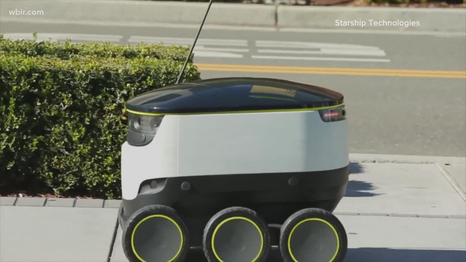 Restaurant Delivery Robot is Here to Serve