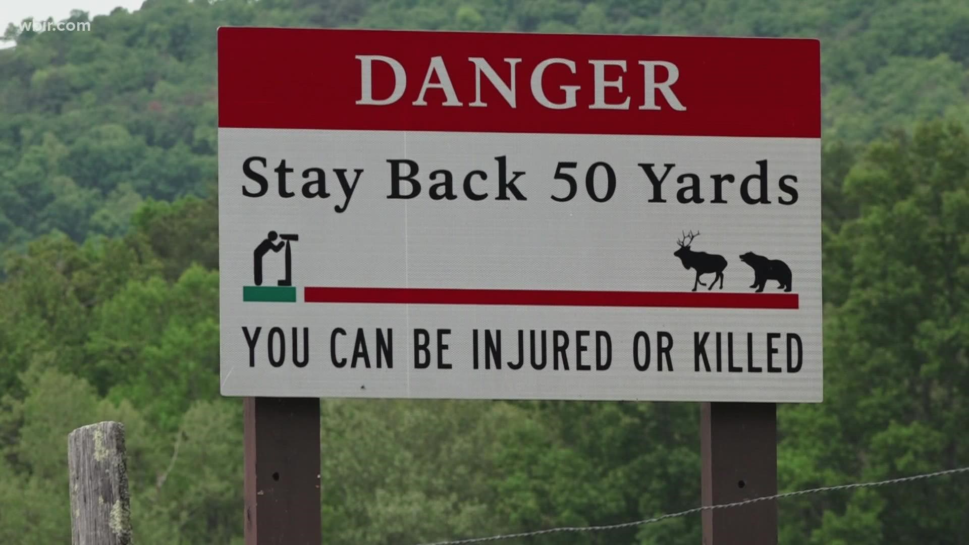 Officials say to be mindful of leaving behind or disposing of food as bears can be attracted to food and garbage.