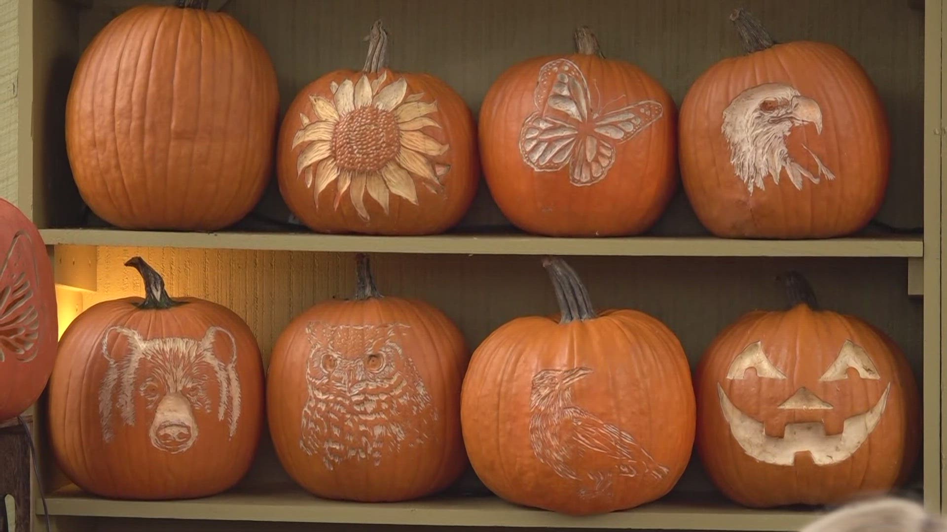 10 About Town's Katie Inman introduces us to the woman behind Dollywood's extravagant pumpkin carvings.