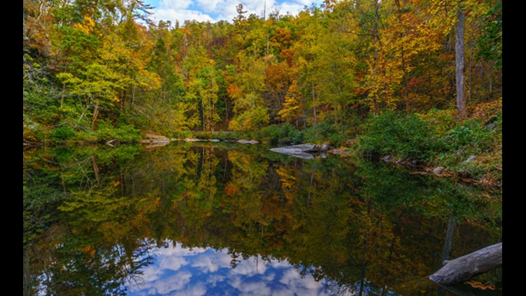 Officials battle five acre fire in Cherokee National Forest near ...