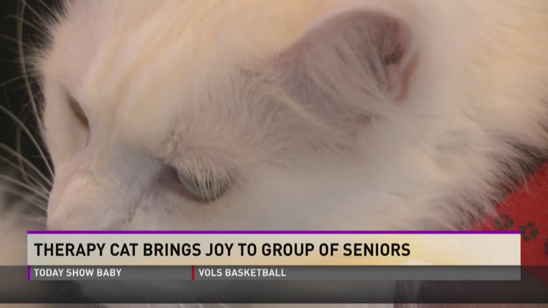 A group of seniors at Heritage Assisted Living in West Knoxville have a special visitor every Friday morning.